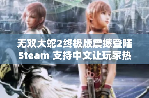 无双大蛇2终极版震撼登陆Steam 支持中文让玩家热血沸腾