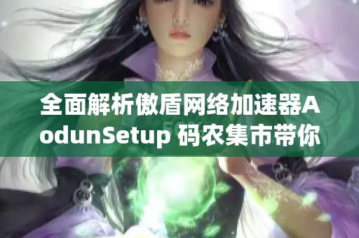 全面解析傲盾网络加速器AodunSetup 码农集市带你探索优质IT编程学习资源