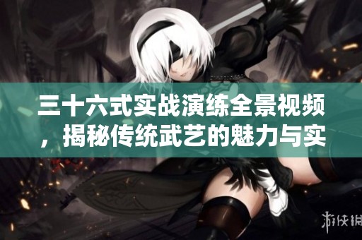 三十六式实战演练全景视频，揭秘传统武艺的魅力与实用性