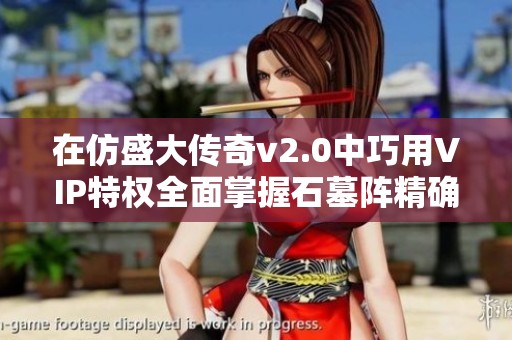 在仿盛大传奇v2.0中巧用VIP特权全面掌握石墓阵精确行走攻略与技巧
