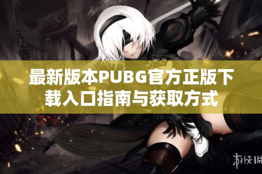 最新版本PUBG官方正版下载入口指南与获取方式