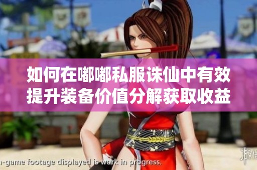 如何在嘟嘟私服诛仙中有效提升装备价值分解获取收益的策略揭秘