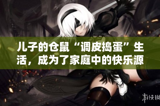 儿子的仓鼠“调皮捣蛋”生活，成为了家庭中的快乐源泉