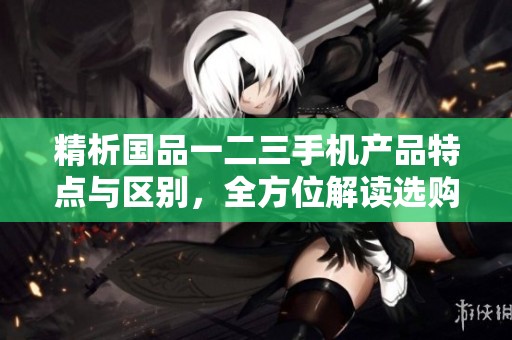 精析国品一二三手机产品特点与区别，全方位解读选购要点