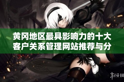 黄冈地区最具影响力的十大客户关系管理网站推荐与分析
