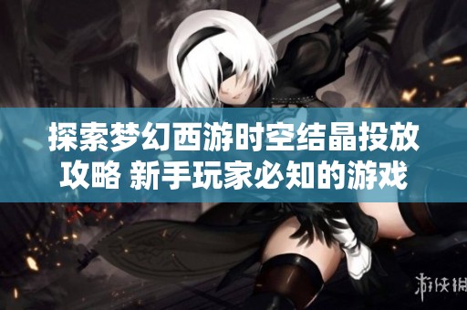 探索梦幻西游时空结晶投放攻略 新手玩家必知的游戏玩法技巧揭秘