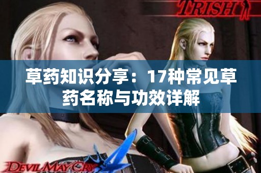 草药知识分享：17种常见草药名称与功效详解