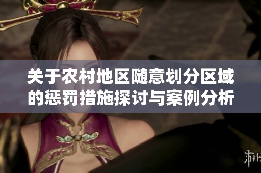 关于农村地区随意划分区域的惩罚措施探讨与案例分析