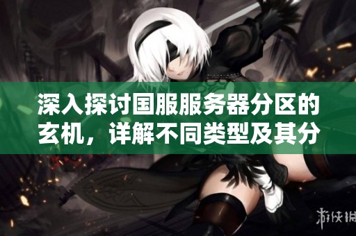 深入探讨国服服务器分区的玄机，详解不同类型及其分区现状和特点