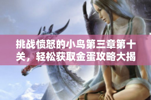 挑战愤怒的小鸟第三章第十关，轻松获取金蛋攻略大揭秘，助你飞跃巅峰！