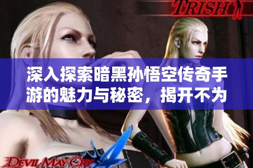 深入探索暗黑孙悟空传奇手游的魅力与秘密，揭开不为人知的游戏世界之旅
