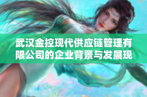 武汉金控现代供应链管理有限公司的企业背景与发展现状深入解析