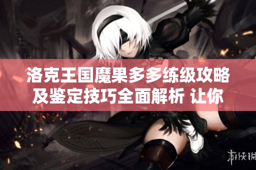 洛克王国魔果多多练级攻略及鉴定技巧全面解析 让你轻松提升实力
