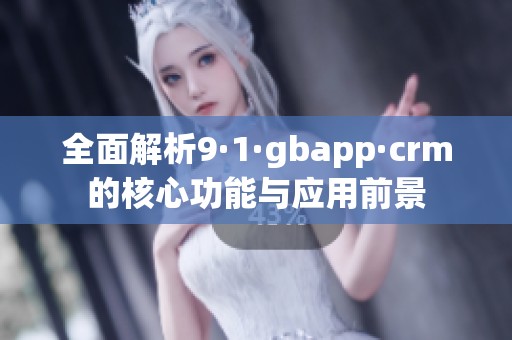 全面解析9·1·gbapp·crm的核心功能与应用前景