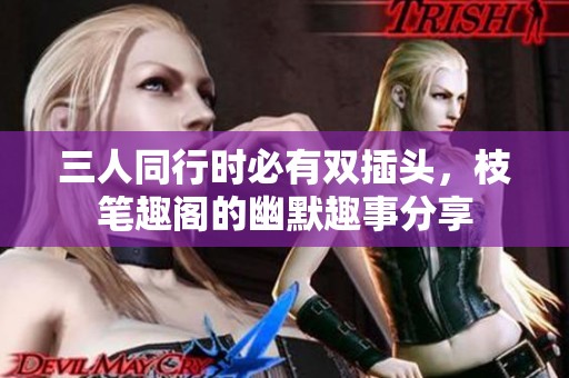 三人同行时必有双插头，枝笔趣阁的幽默趣事分享