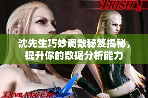 沈先生巧妙调数秘笈揭秘，提升你的数据分析能力