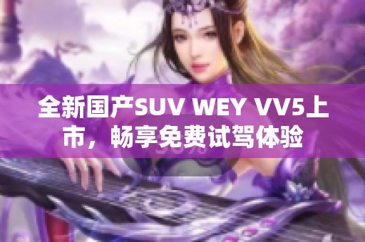全新国产SUV WEY VV5上市，畅享免费试驾体验