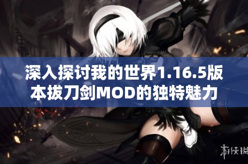 深入探讨我的世界1.16.5版本拔刀剑MOD的独特魅力与多样化玩法解析