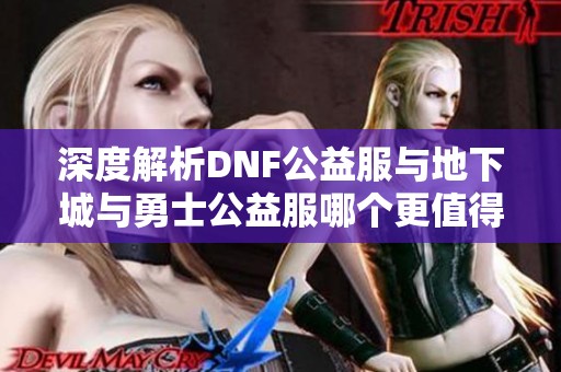深度解析DNF公益服与地下城与勇士公益服哪个更值得玩家体验与探索