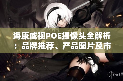 海康威视POE摄像头全解析：品牌推荐、产品图片及市场排行榜一览