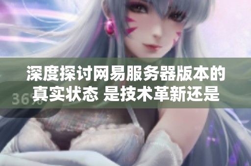 深度探讨网易服务器版本的真实状态 是技术革新还是停留在土豆时代的幻想