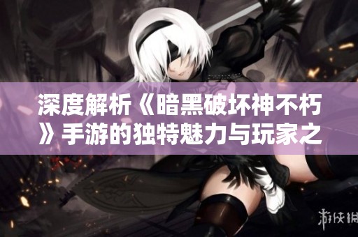深度解析《暗黑破坏神不朽》手游的独特魅力与玩家之间的热议争论