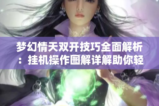 梦幻情天双开技巧全面解析：挂机操作图解详解助你轻松游戏体验