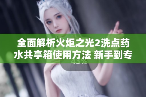 全面解析火炬之光2洗点药水共享箱使用方法 新手到专家的必备技巧与建议