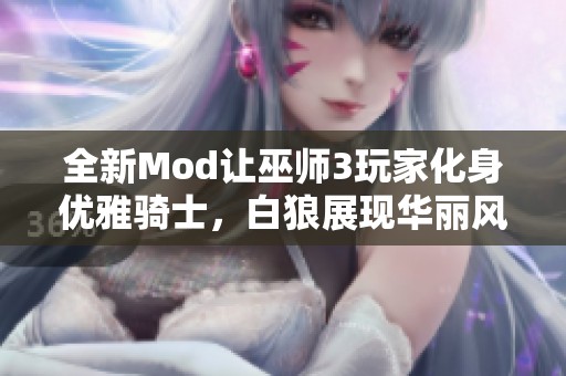 全新Mod让巫师3玩家化身优雅骑士，白狼展现华丽风采