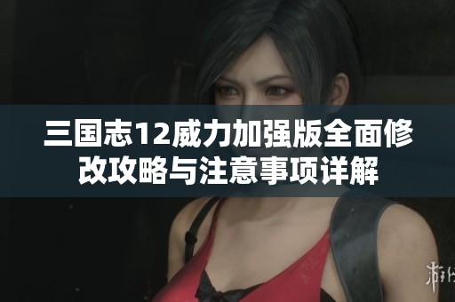 三国志12威力加强版全面修改攻略与注意事项详解