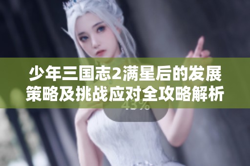 少年三国志2满星后的发展策略及挑战应对全攻略解析