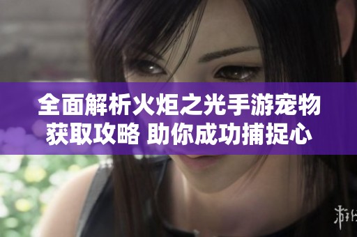 全面解析火炬之光手游宠物获取攻略 助你成功捕捉心仪宠物