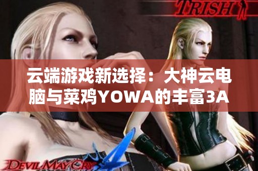 云端游戏新选择：大神云电脑与菜鸡YOWA的丰富3A游戏资源