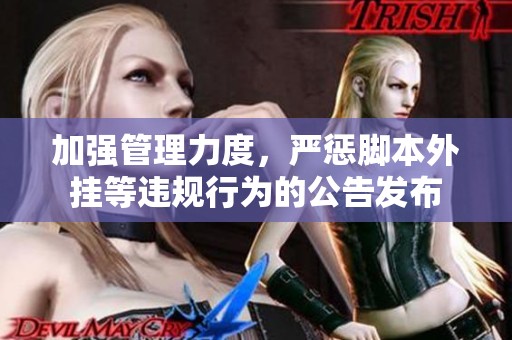 加强管理力度，严惩脚本外挂等违规行为的公告发布