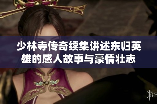 少林寺传奇续集讲述东归英雄的感人故事与豪情壮志