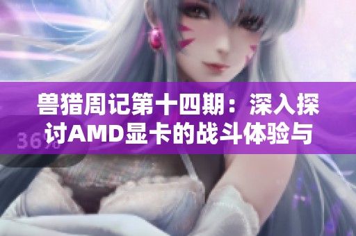 兽猎周记第十四期：深入探讨AMD显卡的战斗体验与用户界面优化分析