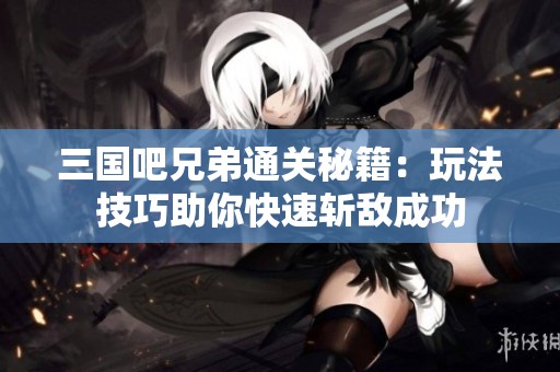 三国吧兄弟通关秘籍：玩法技巧助你快速斩敌成功