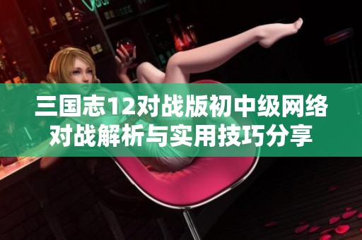 三国志12对战版初中级网络对战解析与实用技巧分享