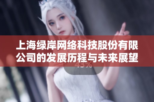 上海绿岸网络科技股份有限公司的发展历程与未来展望解析