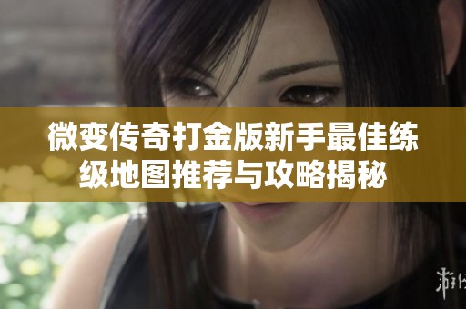 微变传奇打金版新手最佳练级地图推荐与攻略揭秘