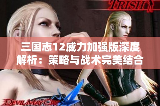 三国志12威力加强版深度解析：策略与战术完美结合的游戏体验