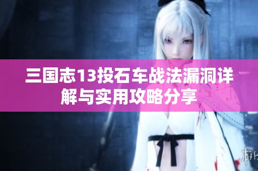 三国志13投石车战法漏洞详解与实用攻略分享