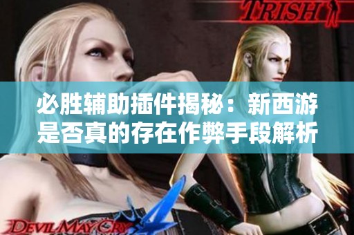 必胜辅助插件揭秘：新西游是否真的存在作弊手段解析