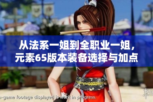 从法系一姐到全职业一姐，元素65版本装备选择与加点全解析