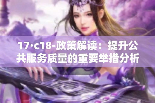 17·c18-政策解读：提升公共服务质量的重要举措分析