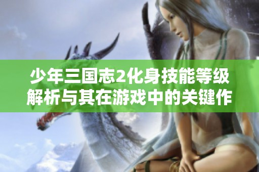 少年三国志2化身技能等级解析与其在游戏中的关键作用详解
