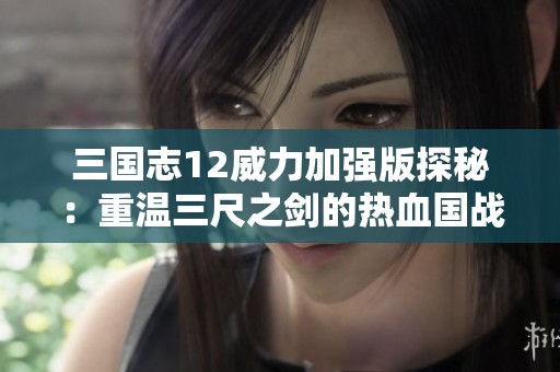 三国志12威力加强版探秘：重温三尺之剑的热血国战盛况