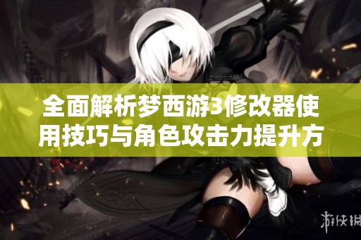 全面解析梦西游3修改器使用技巧与角色攻击力提升方法