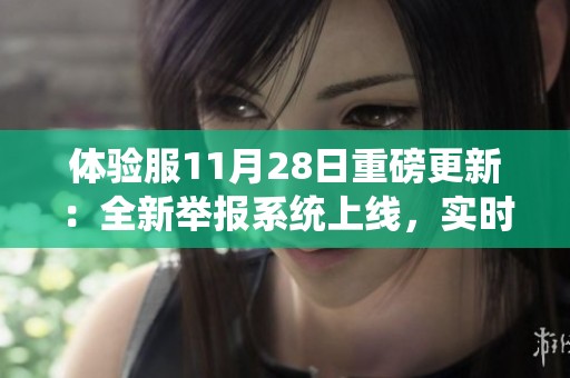 体验服11月28日重磅更新：全新举报系统上线，实时监测与严惩措施随之而来