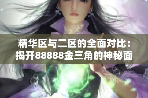 精华区与二区的全面对比：揭开88888金三角的神秘面纱